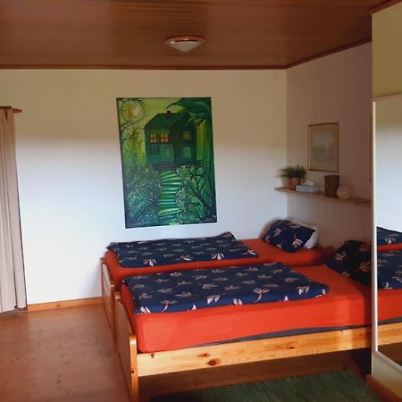 Gaestezimmer Im Freudenthal Extertal Esterno foto